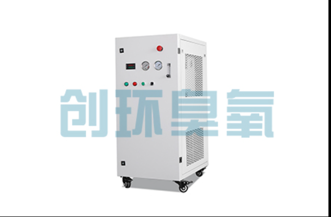 奉节工厂化养鲈必看：2026年臭氧发生器替代传统消毒的最新方案
