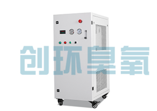 奉节石斑鱼养殖水质调控完整指南：臭氧发生器配置与操作步骤