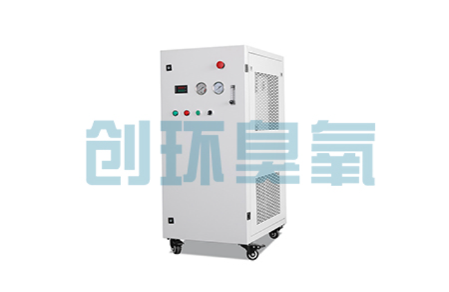 奉节比传统换水更高效？臭氧发生器在石斑鱼养殖中的水质净化原理解析